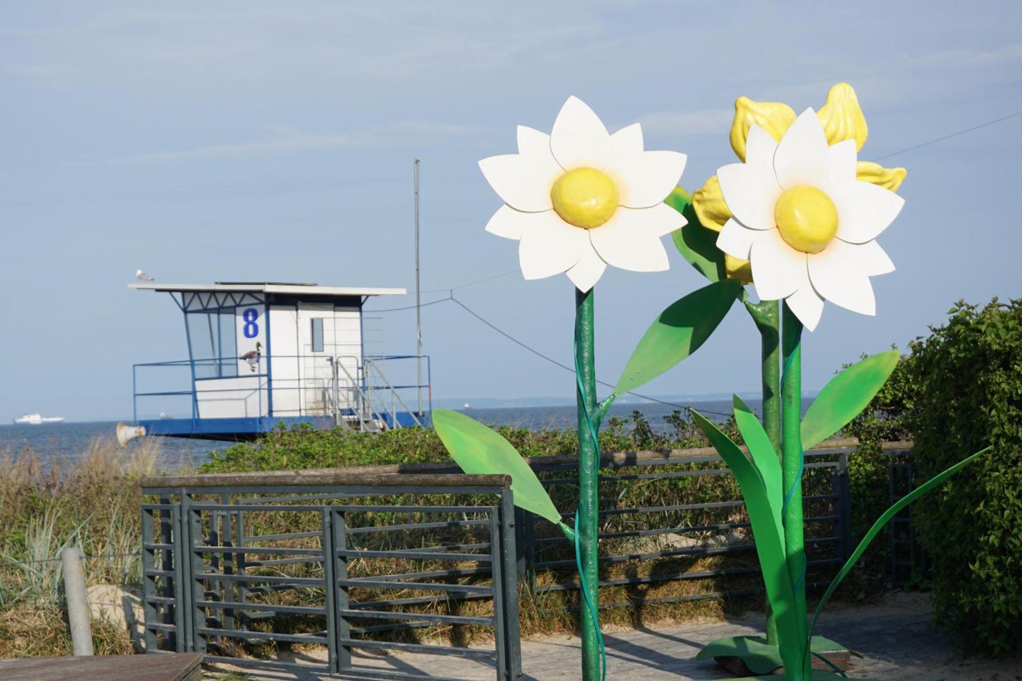 Strandoase - Fewo 21 Heringsdorf  Exterior foto